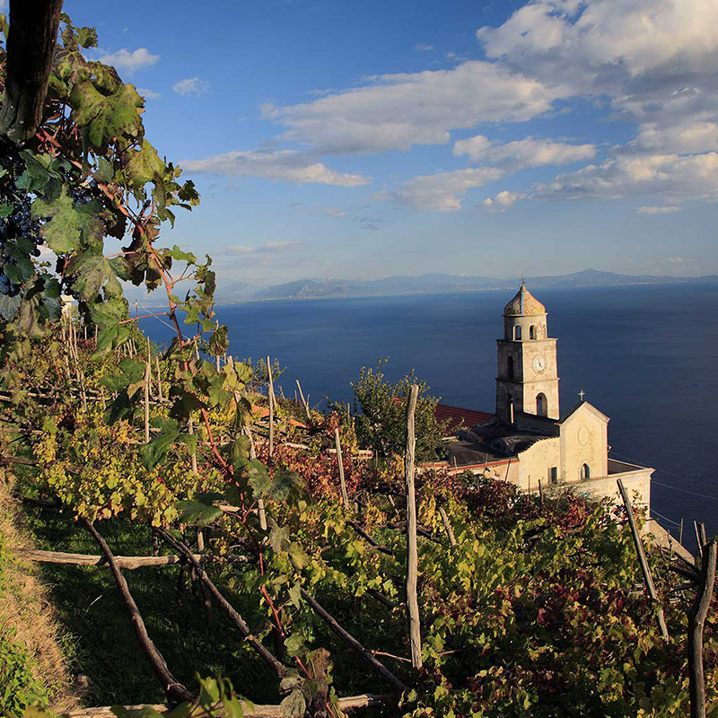Il Vino Costa d’Amalfi DOC